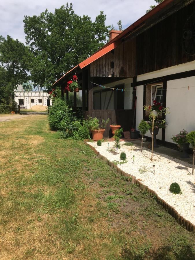 Agroturystyka Pod Debami W Klukach Smołdzino Exterior foto
