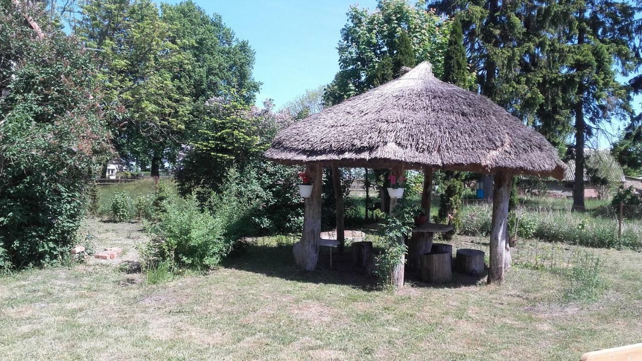 Agroturystyka Pod Debami W Klukach Smołdzino Exterior foto